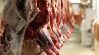 قیمت گوشت گوسفندی و قیمت گوشت گوساله ۲۶ مهر ۱۴۰۴