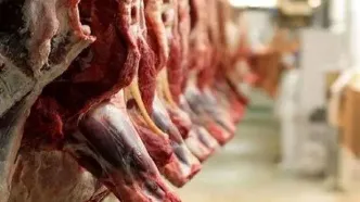 قیمت انواع گوشت تنظیم بازاری گوساله اعلام شد