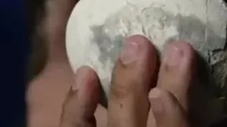 یک تخم دایناسور ۷۰ میلیون ساله در وضعیت سالم کشف شد