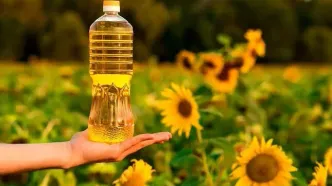 آغاز توزیع روغن آفتابگردان دولتی مهر ۱۴۰۴ | محل عرضه روغن تنظیم بازاری