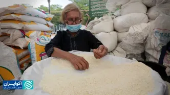 تب طلا خوابید؟