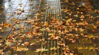 پاییز عجیب امسال در ایران