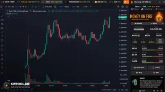 صعود دوباره میم‌کوین BURN؛ آتش بازار سولانا شعله‌ور شد
