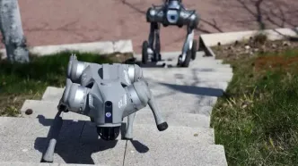 سگ‌های رباتیک و پهپادها؛ چگونه چین با «دیپ‌سیک» خود را برای جنگ مجهز می‌کند؟