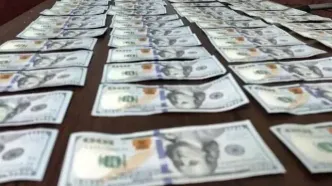 دستگیری قاچاقچی ارز در پایانه مرزی شلمچه