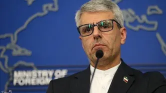 دلایل عدم حضور ایران در اجلاس سران «شرم‌الشیخ» از زبان بقائی