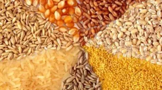 سقف جدید نرخ ارز نهاده‌های دام و طیور اعلام شد