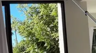 ببینید؛ ترفند جالب برای آزادی مرغ مگس‌خوار گرفتار در خانه