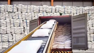 واردات شکر از هفته آینده مجاز می‌شود