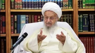مکارم شیرازی: برای کمبود آب و کاهش جمعیت استغفار کنید