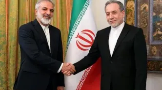 دیدار سرکنسول ایران در حیدرآباد با سیدعباس عراقچی