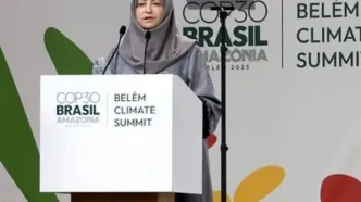 ماجرای درخواست 50میلیاردی شینا انصاری برای سفر برزیل