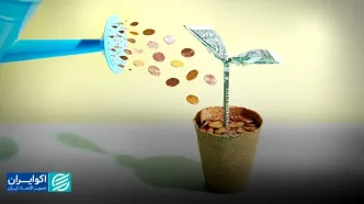 درس‌های مهم هاروارد بیزینس ریویو برای استارت‌آپ‌ها