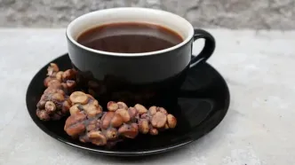 گران‌ترین قهوه جهان که از مدفوع یک پستاندار تولید می‌شود!