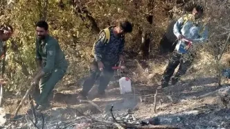 مهار آتش‌سوزی ناشی از سهل‌انگاری مسافران در پارک ملی گلستان