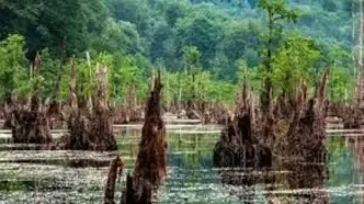 دریاچه ارواح بوشهر/ ویدئو