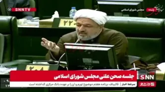 رسایی: فرزند آقای عارف تابعیت آلمان را دارد/ جایگاه‌ ایشان غیرقانونی است