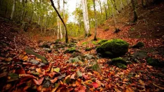 تصاویر؛ مسیر رویایی خلخال به اسالم