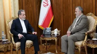 عباس عراقچی: وزارت امور خارجه خادم زائران بیت الله الحرام است