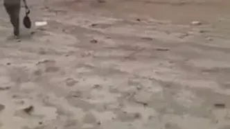 هواپیمای وزیر معدن این کشور سقوط کرد+ فیلم