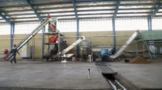 ویدئو/ تولید پسته از زمین تا بازار