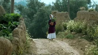 جشنواره جهانی فیلم فجر با نمایش فیلمی از عباس کیارستمی افتتاح می‌شود