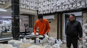 عرضه برنج ۵۰ هزار تومانی در بازار