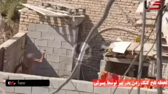 فیلم لحظه تلخ کتک زدن پدر پیر توسط پسرش / پلیس آبادان او را بازداشت کرد