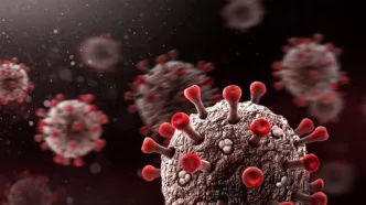 ویروس «رینوویروس» و «کرونا» شیوع یافته است/ آنفولانزا در فصل زمستان همه گیر خواهد شد