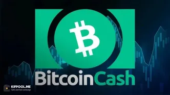 بیت کوین‌کش دوباره در مسیر ۱۰ رمزارز برتر؛ این بار با سرمایه واقعی