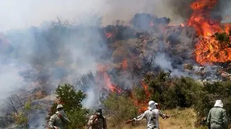 فاجعه آتش هیرکانی تا کلاردشت هم رسید!