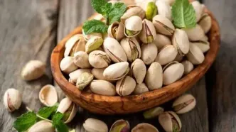 راز پسته دامغان برملا شد: جشن شکرانه‌ای که همه را شوکه کرد!