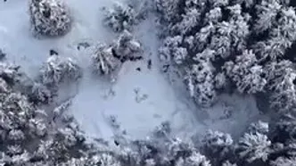 زمستان به گیر‌دوود آلاسکا رسید