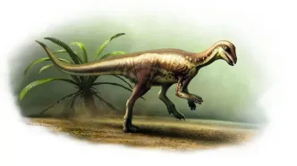 کشف دایناسوری کوچک به اندازه یک گربه خانگی!