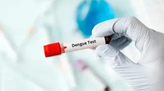 شمار مبتلایان به تب دنگی در هرمزگان، به ۲۲۵ نفر رسید/ ۲۵ تن از این افراد، از اتباع خارجی هستند