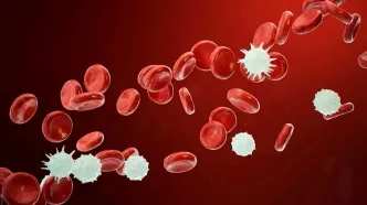 فناوری علیه سرطان خون؛ نخستین مغز استخوان انسانی ساخته شد