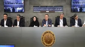 سقف استفاده هر بازرگان ۳۳ درصد باشد