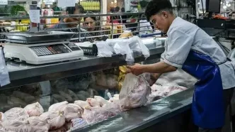 قیمت مرغ امروز ۱۴ آبان ۱۴۰۴