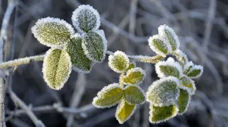 سرما و یخبندان در انتظار مردم ۲۵ شهر کشور