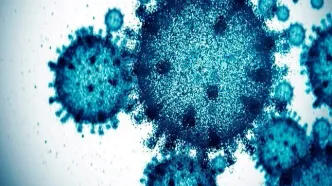 صدای پای کرونا دوباره به گوش می‌رسد