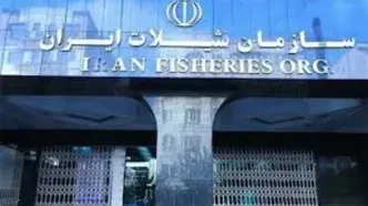 صادرات محصولات شیلاتی کشور از مرز 700 میلیون دلار گذشت