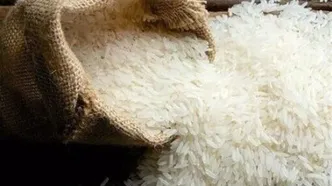 چرا برنج ارزان نشد؟