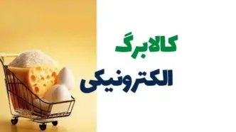 خبر داغ طلایی درباره یارانه کالابرگ آبان | ماهی و میگو هم یارانه‌ای شدند؟