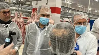 پیگیری تخصیص ارز برای واردات گوشت در بازدید بازرس سازمان بازرسی از مجتمع صنایع غذایی جنوب تهران