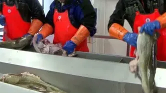 افشاگری جنجالی: بسته‌بندی‌های ضدباکتری مواد غذایی؛ بمب ساعتی در صنعت یا راه نجات؟