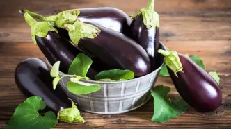 برای  کنترل قند خون خود حتما بادمجان بخورید!