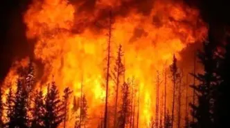 بالگردها به کمک جنگل‌های مرزن‌آباد آمدند؛ اطفای حریق در الیت+فیلم