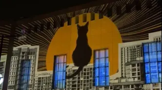 برنامه هفته دیزاین دانشگاه تهران لغو شد + جزئیات