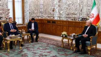 قالیباف: رژیم صهیونیستی و آمریکا با پیشرفت کشورهای اسلامی مخالف اند/ فیدان: اصلی‌ترین تهدید امنیتی منطقه، اقدامات توسعه طلبانه اسرائیل است