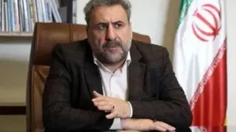 هشدار فلاحت‌پیشه درباره لایحه سازمان ملی مهاجرت: پشت پرده سیاسی دارد / پزشکیان باید درخواست استرداد بدهد